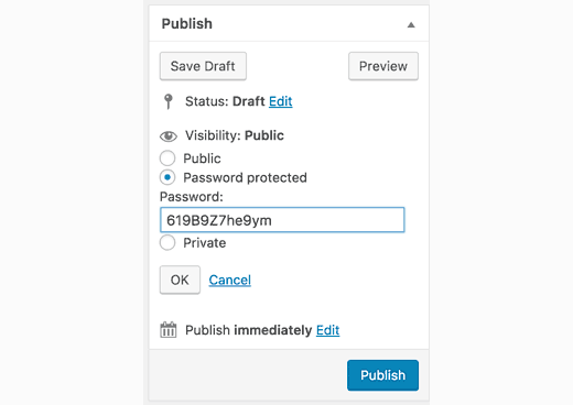 Setting password protection for post in WordPress