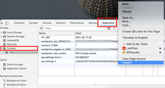 Viewing cookies using developer tools